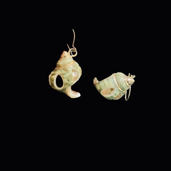 EXTRAORDINARY ~ HANDMADE ~ EXOSKELETON SHELL & GOLD TRIMMED ~ EARRINGS ~ 1" - Picture 4 of 11